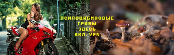первитин Богданович