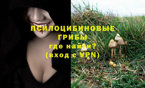 первитин Богданович