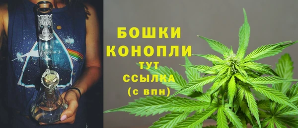 первитин Богданович