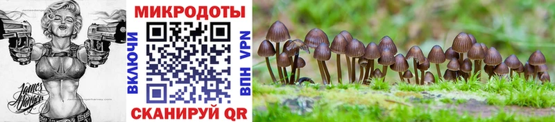 Купить закладки  Кирово-Чепецк  Галлюциногенные грибы мицелий 